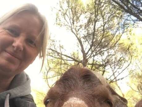 Promenades à dos d'ânes ou lamas