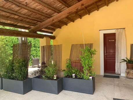 La Bastide Sainte Agnès - Gîte L'Olivier