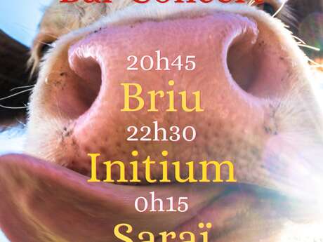 Bal concert Pop trad du vendredi soir