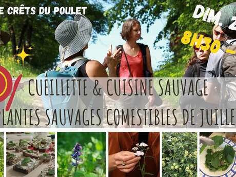 BALADE CUEILLETTE & ATELIER - Cuisine sauvage