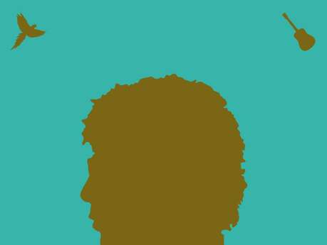 Concert : Laurent Voulzy