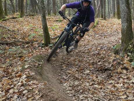 Mountainbike-Teenager : Downhill-Strecke