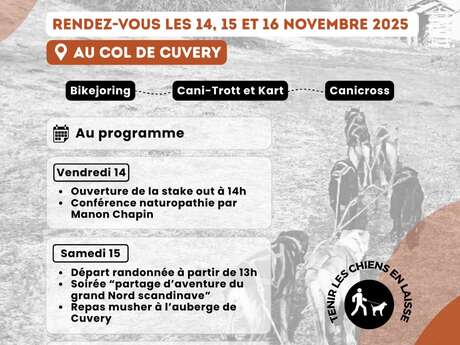 Cuvery - La Randonnée de chiens de traineaux