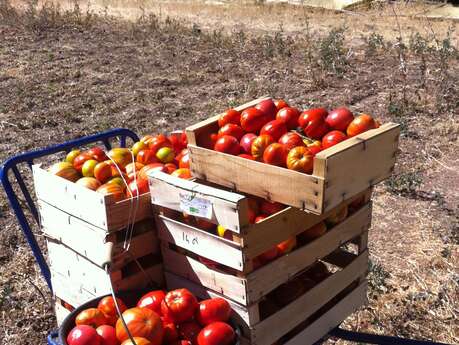 Le Jardin de Pichauris