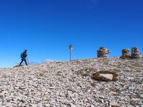 Randonnée Les Crêtes de Lure - Sur le chemin des plantes de la Montagne de Lure