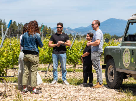 Land Rover Wine Safari
