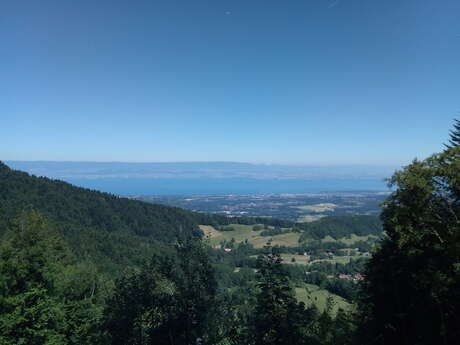 Circuit Trail 6 - Grand tour du plateau des Moises