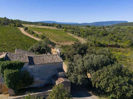 Sentier Randonner Autrement - De vigne en vigne