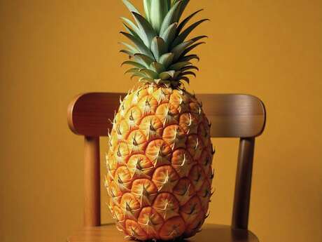 Théâtre : Un ananas sur une chaise de bois / ça va pas le faire