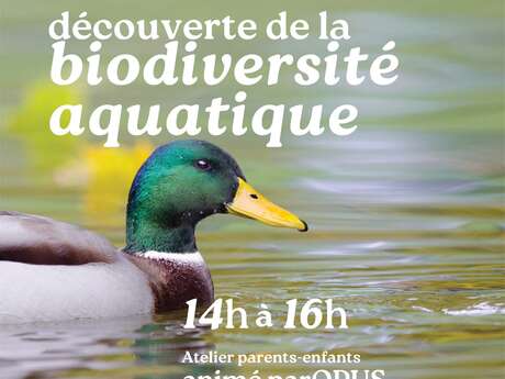 Découverte de la biodiversité aquatique