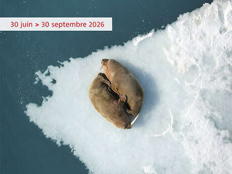 Exposition : Ne perdons pas le Nord