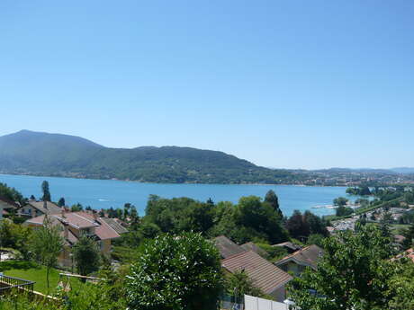 Flavignie-Bévillard Flora