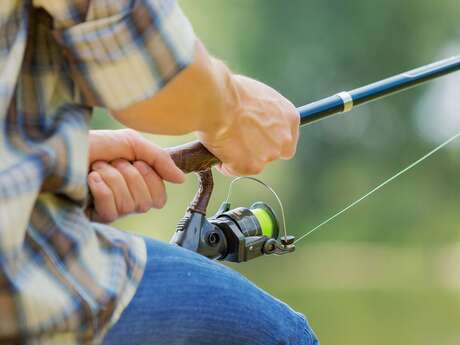 Compétition truites aux leurres