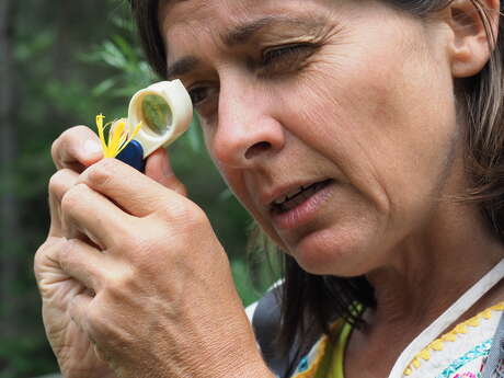 Reconnaissance de plantes