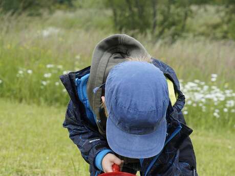 Colo' été 2026 - découverte de la préhistoire
