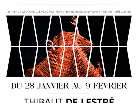 Exposition  : Thibaut DE LESTRE