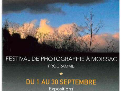 Festival | Beauté Fragile