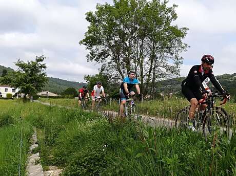 Circuit vélo : N°7 - Fayence