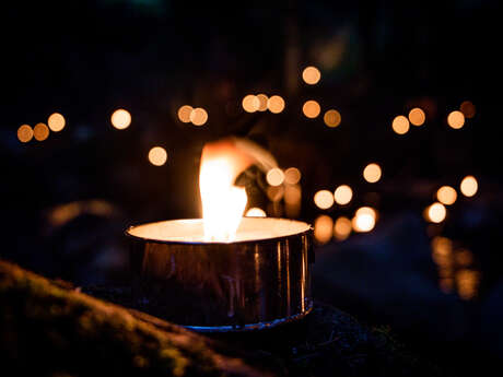 Balade au Clair de Lune