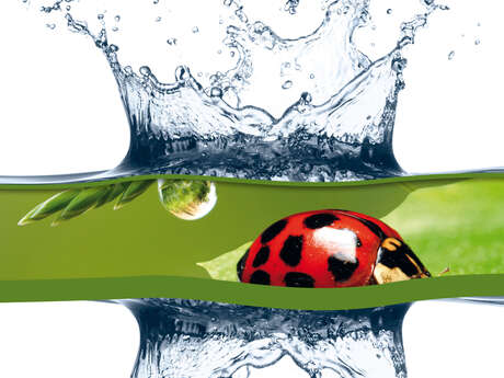 Ausstellung: Wasser H2O