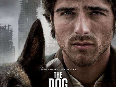 Séance de cinéma - « The dog stars»