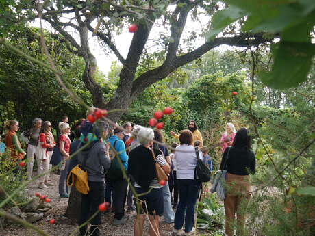 Concerts ''19h01'' à Salagon