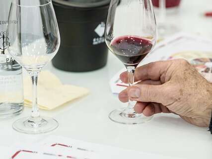 Wine School Workshop - Introductory tasting, the art of revealing secrets