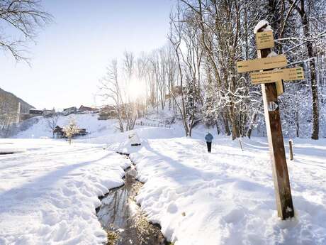 Promenade dans le parc des Dérêches