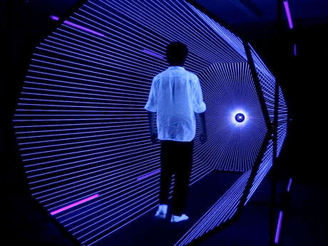 Visite guidée exposition Roots of Light