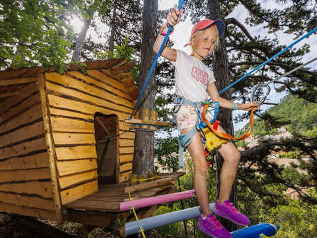 Tree climbing : Ouistiti