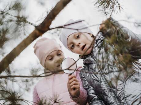 Jeu de piste nordique