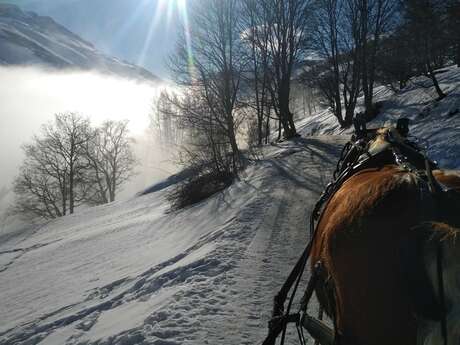 Escursione in slitta tirata da cavalli