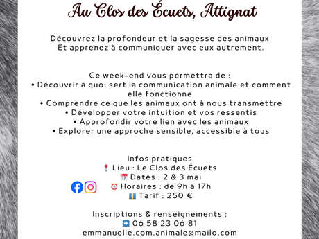Initiation à la communication animale