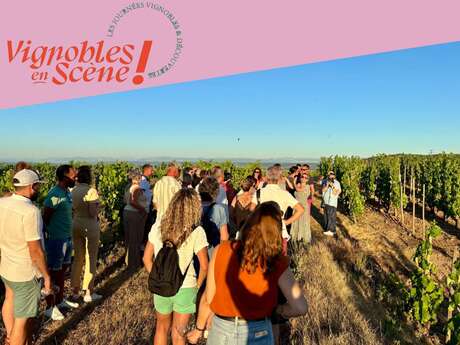 Rando Wine au Domaine François Grenier