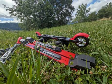 Découverte du ski-roues