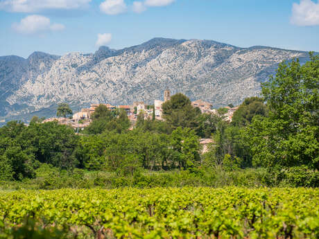 Sentier vigneron : Boucle du Belvédère