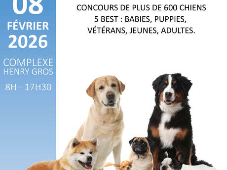Exposition Canine Nationale