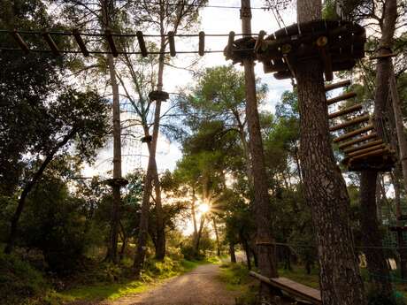 Le Royaume des Arbres - Parcours aventure