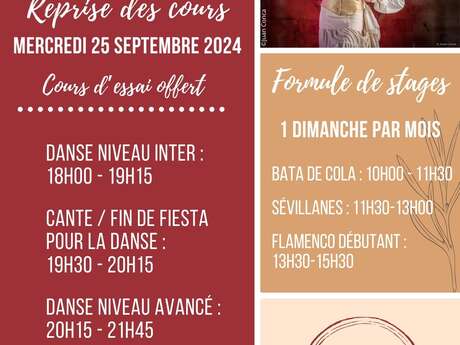 Cours et stages de flamenco