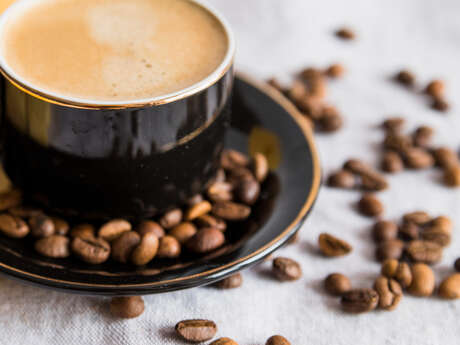 Initiation au café de spécialité