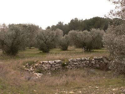 Lançon-Provence : Le sentier de Campagnole