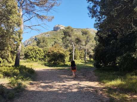 LES TAILLADES - Colline de Pied Caud