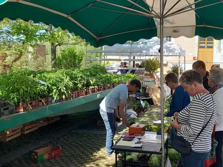 11ème Fête du Jardin et des Produits Locaux