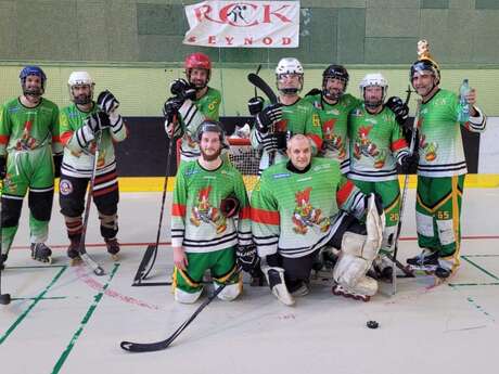 Tournoi loisirs de Roller Hockey