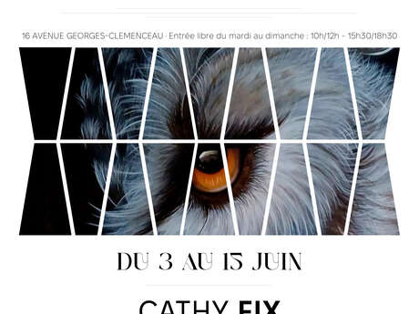 Exposition : Cathy FIX