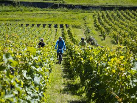 Sortie VTC électrique - Plateau de Gavot et vignes de Marin