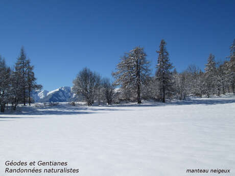 Géodes et Gentianes - Randonnées Naturalistes