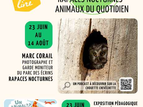 Exposition Rapaces Nocturnes et animaux du quotidien