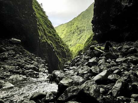 Jeff Adventure Tahiti