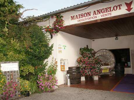 Les Pieds dans le Local® ! Visite d'exploitation : Maison Angelot